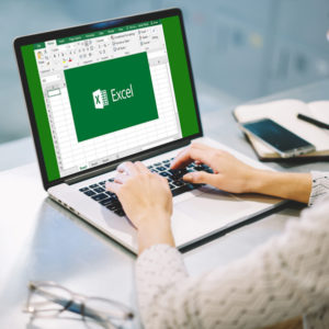 Excel Essentials: The Complete Excel Series - Level 1, 2 & 3