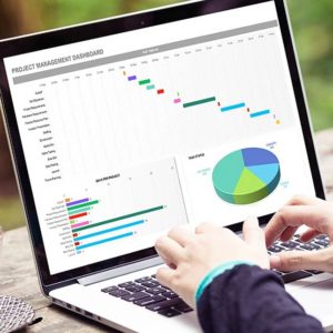 Introduction to Data Tools and Data Management using Excel