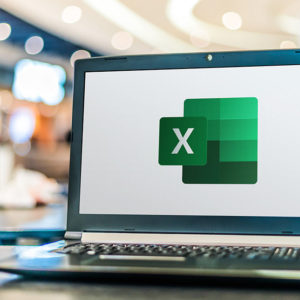 Mastering Basic Excel Skills