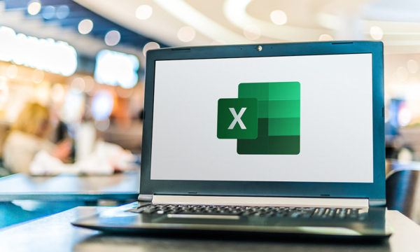 Mastering Basic Excel Skills